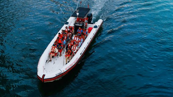 Xclusive Yacht: 90-Min Speedboat Tour - Ain Dubai, Palm, Atlantis & Burj Al Arab