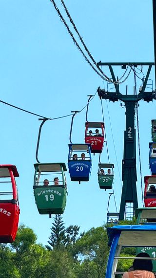 Fujian Xiamen · Zhonggu Cableway + Xiamen University guide + Shapowei + Nanputuo | pure play 1-day tour