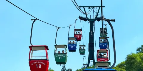 【馬年大吉】鐘鼓索道+廈門大學+南普陀+山海雙景可選一日遊