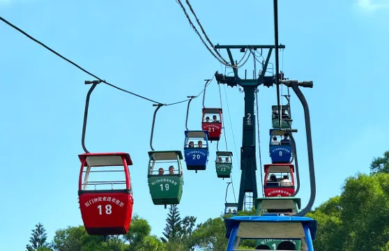 【馬年大吉】鐘鼓索道+廈門大學+南普陀+山海雙景可選一日遊