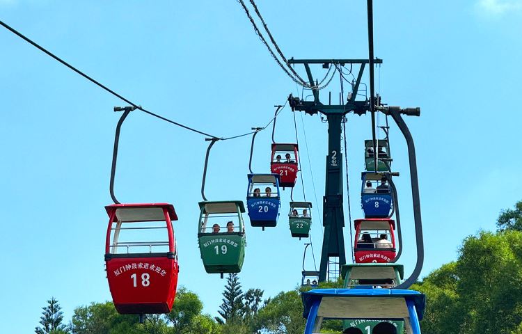 【暖冬特惠】鐘鼓索道+廈門大學+南普陀+植物園或帆船一日遊