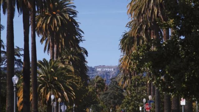 Beverly Hills + Griffith Observatory + The Getty - Ultimate Los Angeles City Attractions Experience