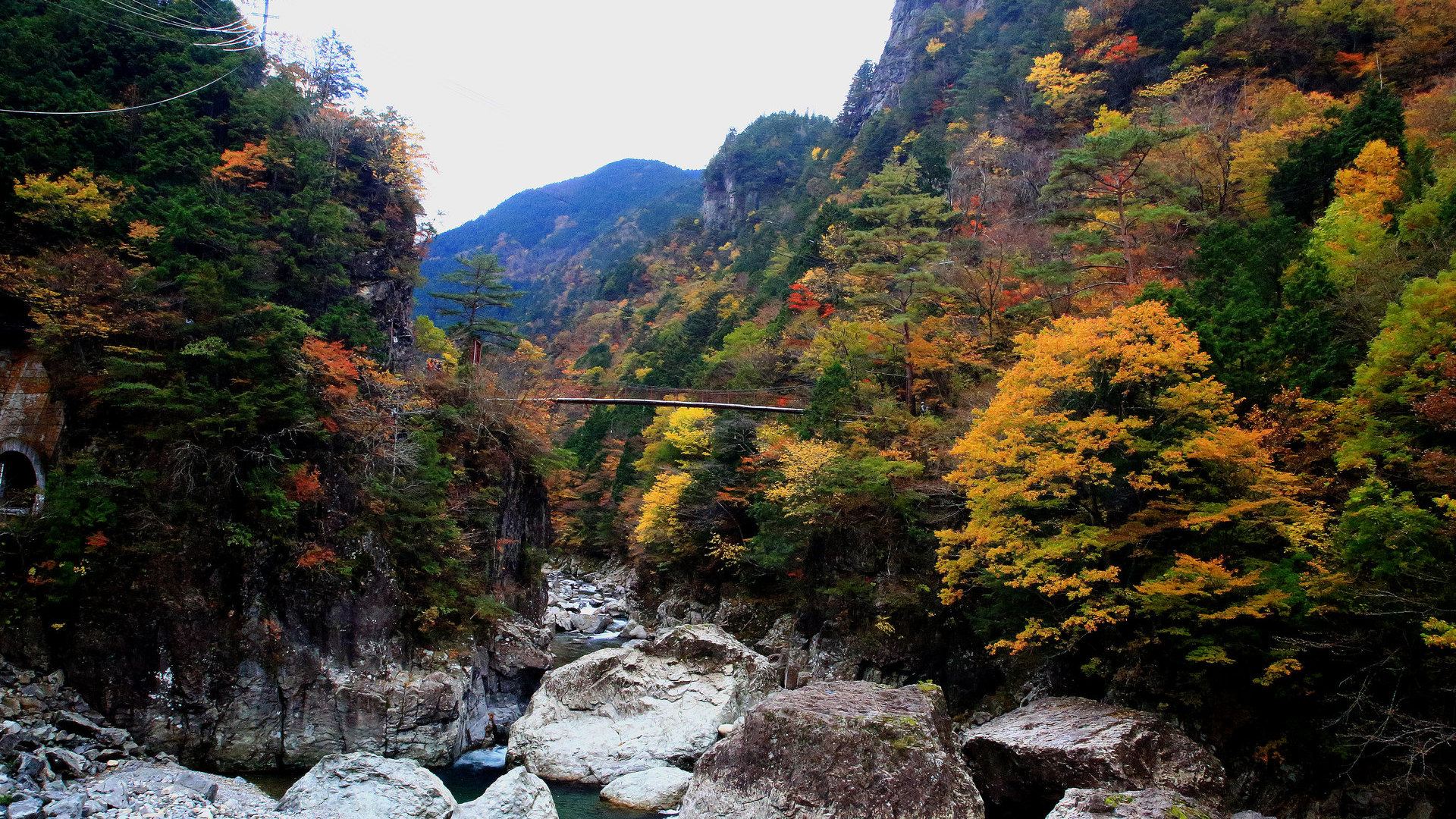 Nara Hidden Gem: Tenkawa Village Stroll, Tenkawa Benzaiten-sha & Limestone Cave Train 1-day Tour (13-person group)