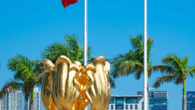 【香港一日遊•40人團】太平山頂+維港+星光大道+天星小輪