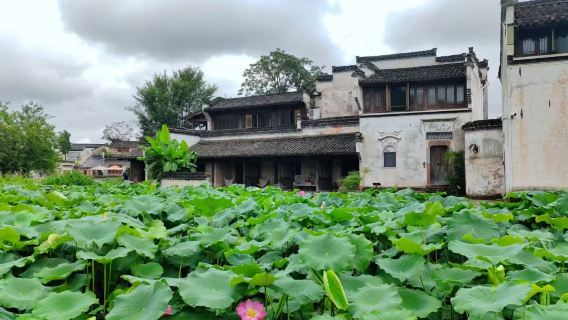 呈坎設施1.5小時私家小團深度講解新產品）