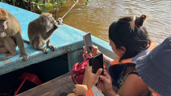 馬來西亞亞庇皇家灣天境紅樹林半日遊【中文導遊+接送+晚餐】