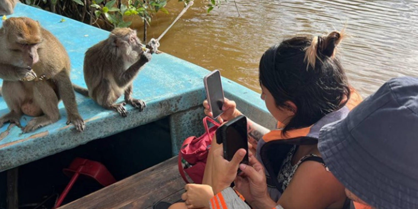 馬來西亞亞庇皇家灣天境紅樹林半日遊【中文導遊+接駁+晚餐】