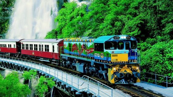 Cairns-Kuranda Rainforest Wonderland Family Private Charter 1-Day Tour