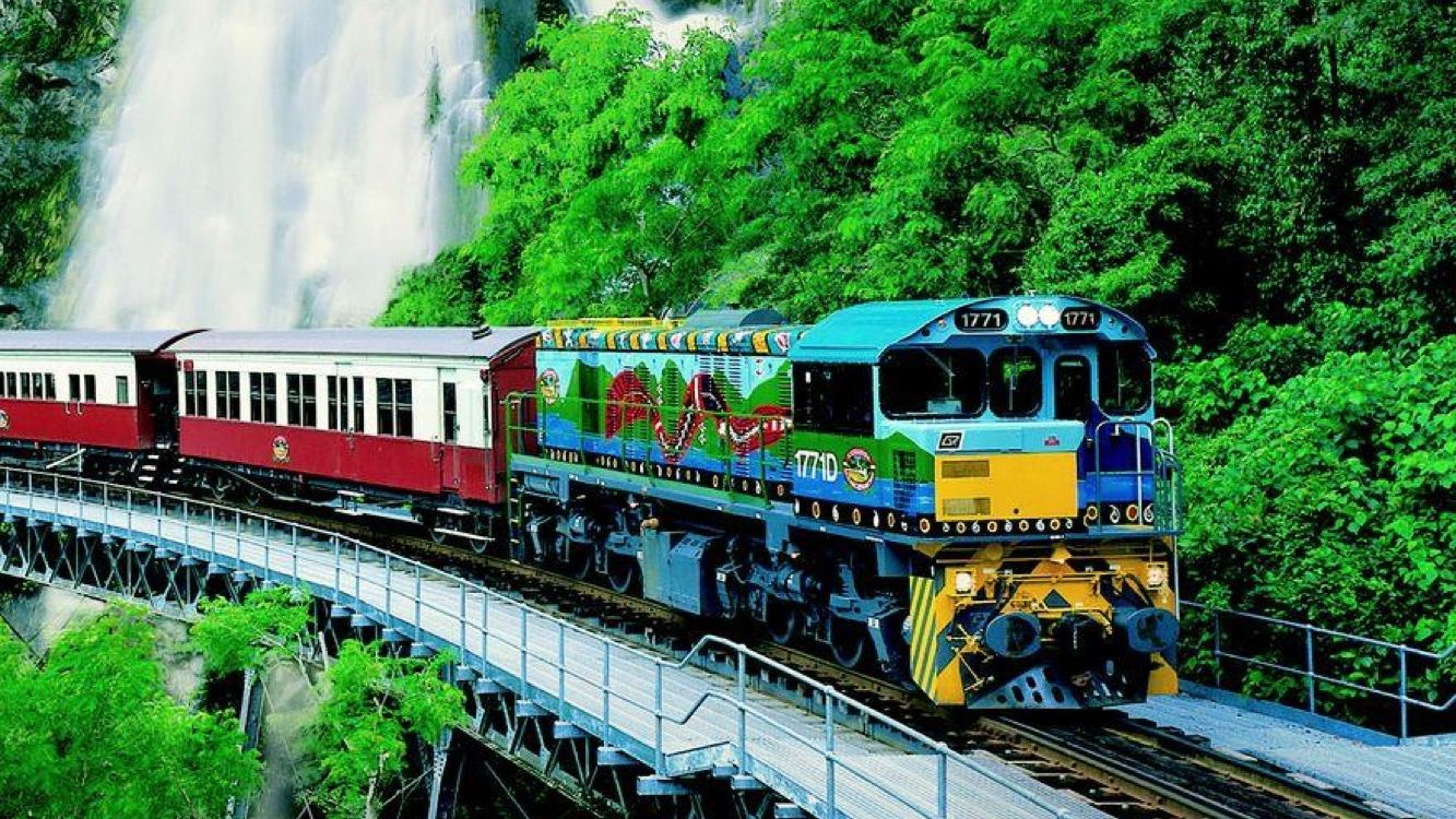 Cairns-Kuranda Rainforest Wonderland Family Private Charter 1-Day Tour