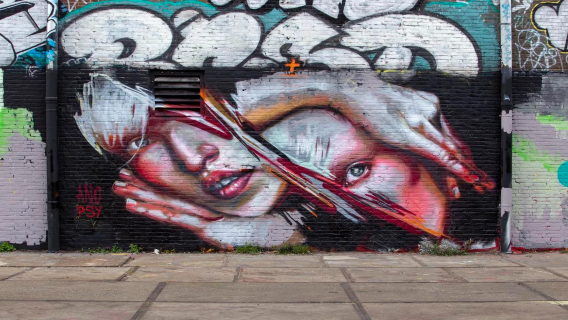 Hortus Botanicus Amsterdam + Herengracht + Allard Pierson Museum of Antiquities + NDSM