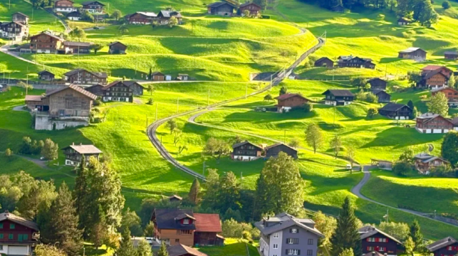 瑞士境內/專業中文導遊/地陪/翻譯/景區講解