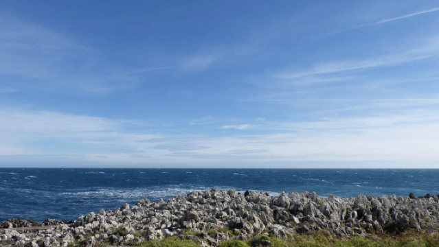 法國馬賽-瓦倫索勒薰衣草-陶瓷小鎮【中文專車-愜意舒適】