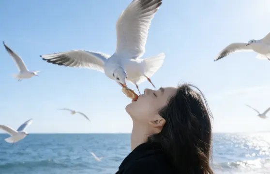 博斯騰湖-環湖公路+大河口+白鷺洲一日遊