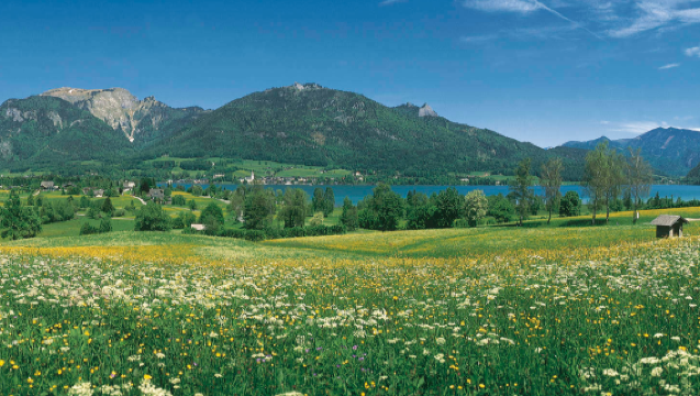 Munich Round-Trip: 1-Day Tour to Salzburg Old Town + Visit Mozart's Place of Birth