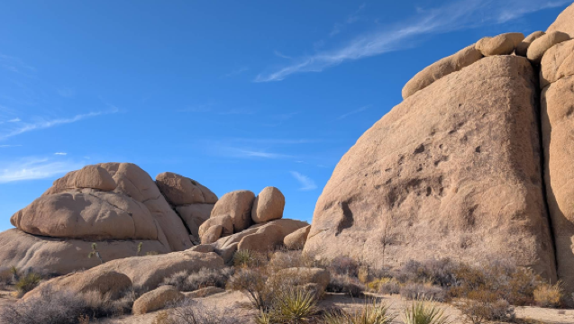 美國洛杉磯來回-約書亞樹國家公園-棕櫚泉【中文包車自由行】