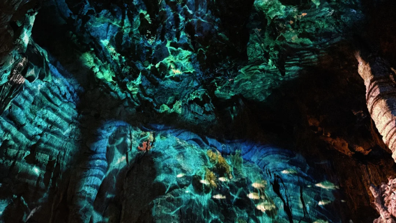 【蝴蝶泉+銀子岩】桂林/陽朔兩地出發一日遊多組合可選