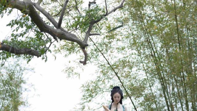 Haiyan Trip Moments[Photographer On-Site Newborn & Maternity Photo Shoots, Promotional Videos, Short Videos, Portraits, Wedding Photos with All Raw Images Included]