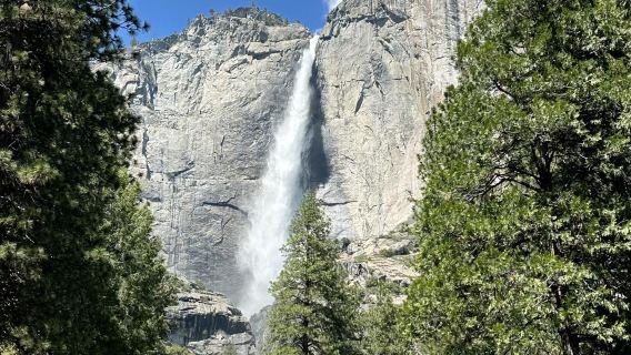Tagesausflug in den Yosemite-Nationalpark (Ab San Francisco)