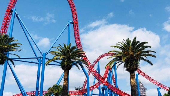 Australia | Gold Coast | Warner Bros. Movie World + lookout + Surfers Beach/M