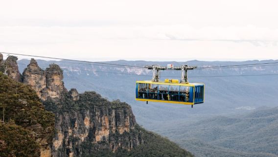Sydney: Small Group Blue Mountains, Wildlife & Waterfalls