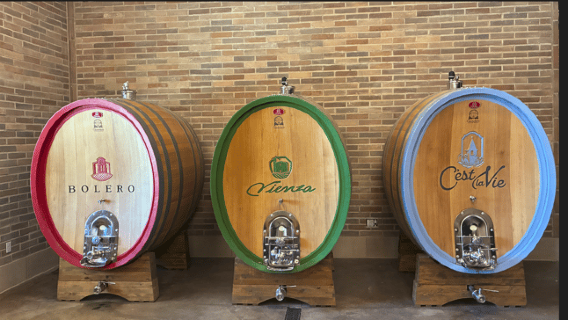 Europa Village Wine Tour, Food Pairing & Wine Blending