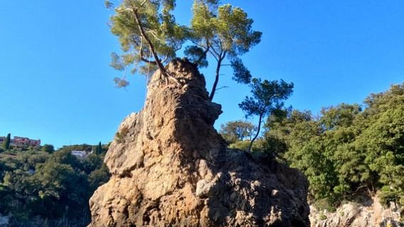Lerici: Kayaking tour to Tellaro and the hidden coves