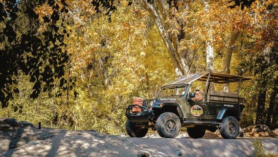 From Sedona: 1.5-Hour Oak Creek Canyon Jeep Pavement Tour