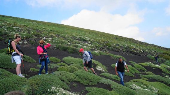 Catania: Mount Etna Morning Tour with Tasting and Lava Cave