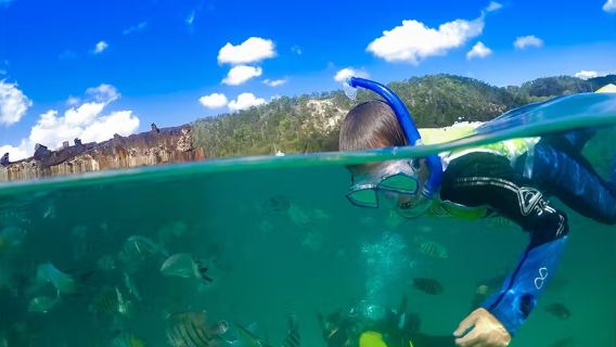 Lawatan sehari Pulau Moreton Brisbane [ pilih satu daripada enam aktiviti/ pesan pakej lawatan sehari dapat kupon makan percuma]