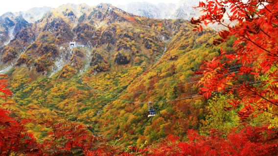 日本立山黑部阿爾卑斯山路線一日遊 金澤出發