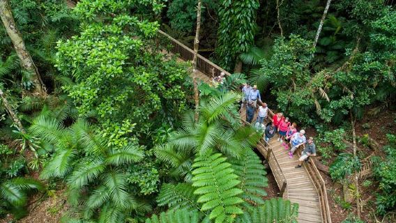 CairnsTours
