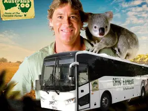 Croc Express to Australia Zoo from Brisbane 