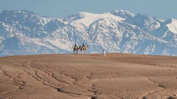 MarrakechTours