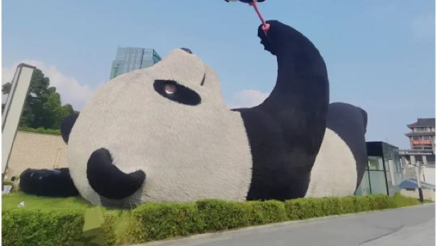 都江堰熊貓谷+青城山一日遊2-8人團含門票/獨立出行三環接駁