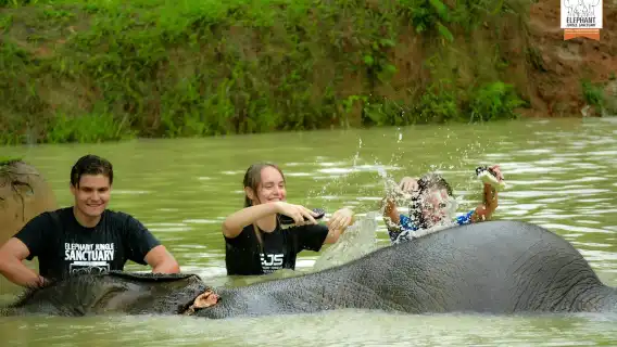 ทัวร์ครึ่งวันปางช้างภูเก็ตที่ปางช้างภูเก็ต ประเทศไทย