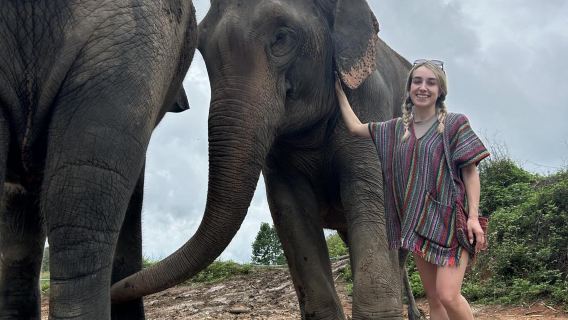 อุทยานแห่งชาติดอยอินทนนท์ + ทัวร์เดินป่า 1 วัน จากเชียงใหม่