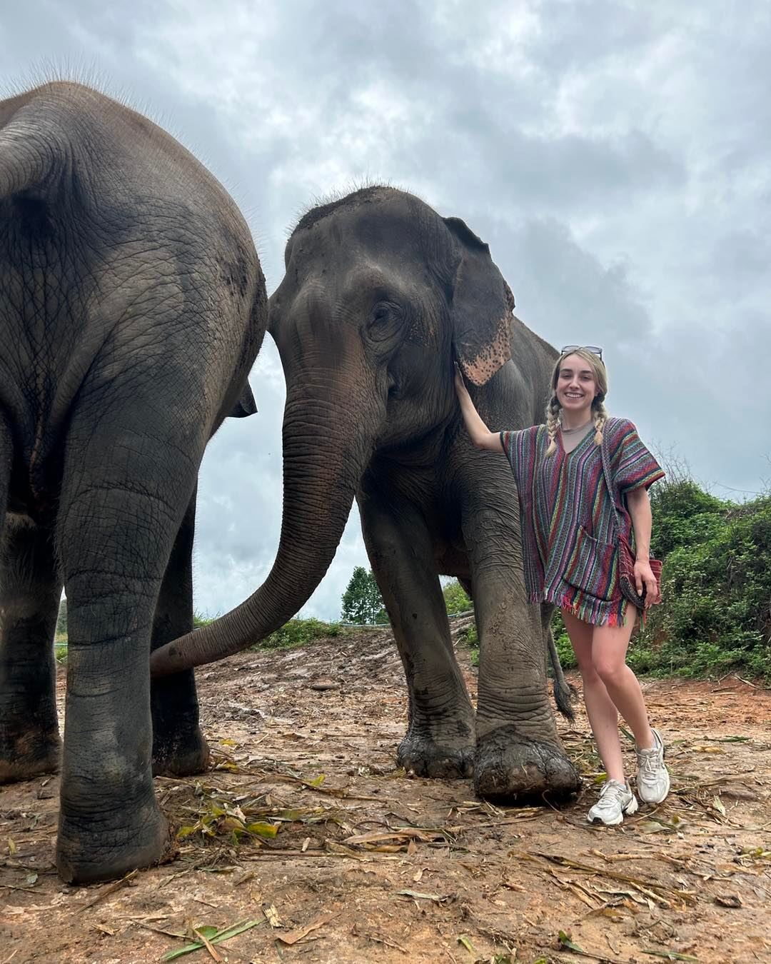 อุทยานแห่งชาติดอยอินทนนท์ + ทัวร์เดินป่า 1 วัน จากเชียงใหม่