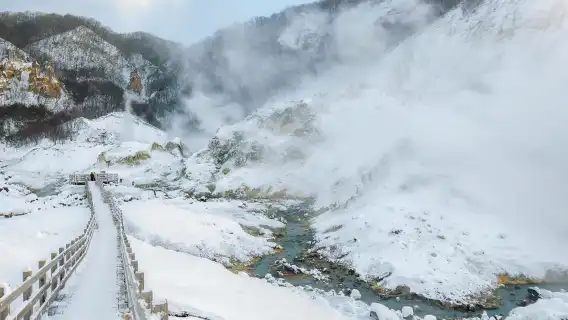 ฮอกไกโด ทะเลสาบโทยะ + หุบเขานรกโนโบริเบ็ตสึ + สโนว์โมบิล + ฟาร์มหมี|ทัวร์กลุ่มเล็ก 9-13 คน
