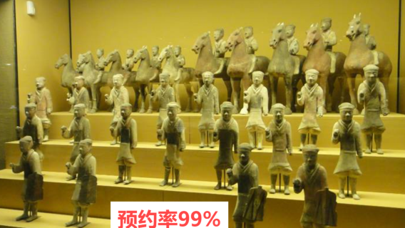 大荔旅行服務