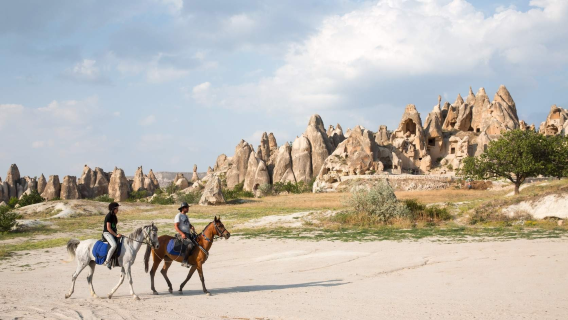 Ortahisar BelediyesiTours