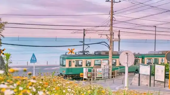 【期間限定特価】東京鎌倉＋江の島＋鶴岡八幡宮ワンデーツアー、江ノ電体験付き