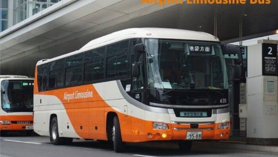 Tokyo Limousine Bus from Haneda Airport to Various City Stops
