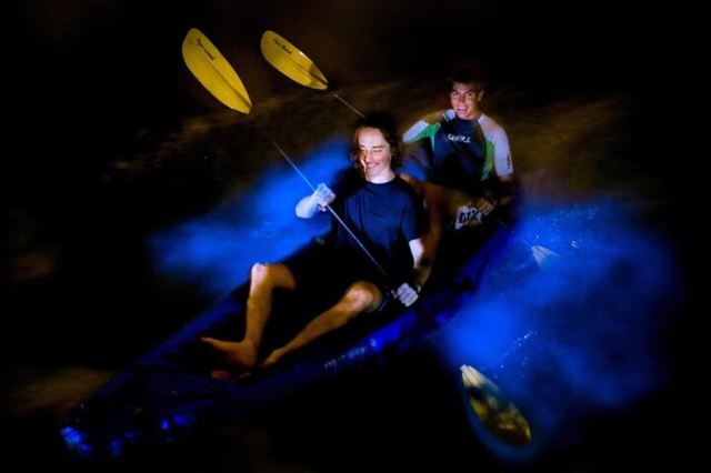 Experience Sunset and Plankton Bioluminescent Night Kayak in Lan Ha Bay from Cat Ba town
