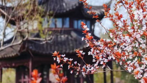 SuzhouTours
