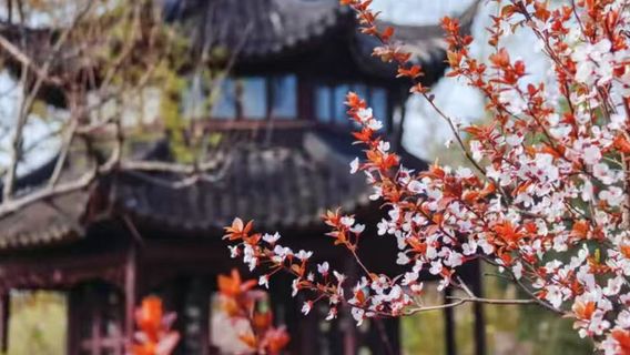 ShanghaiTours