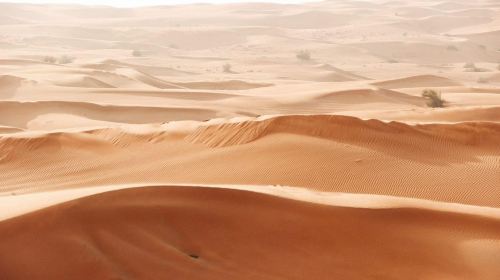 From Fujairah Safari: 4x4 Desert Safari with BBQ Dinner Day Tours 2