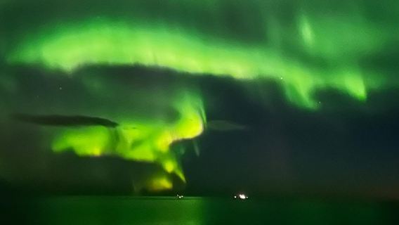 Northern Lights: 2-Hr Boat Tour + Alternative Bus Tour