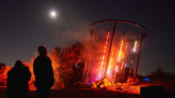 Astra Lumina: Currumbin Wildlife Sanctuary
