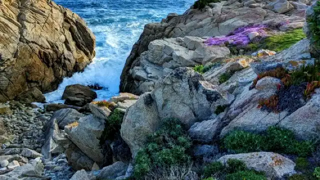 美國一號公路舊金山-洛杉磯全路段/行程靈活客製化/諮詢享減