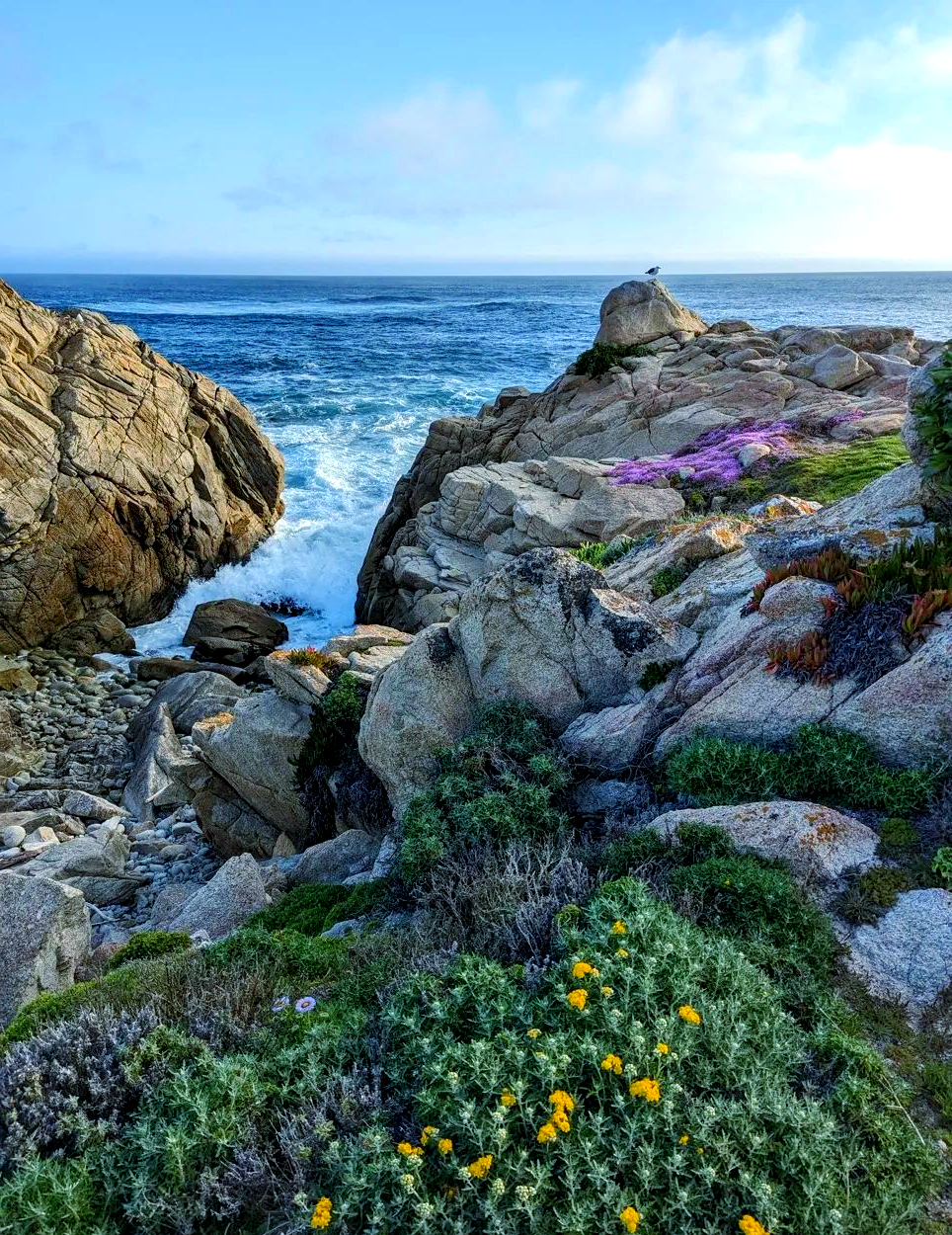 美國加州一號公路＆精華景點免費訂製/中文司機【暑期早鳥優惠】